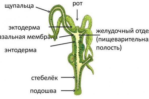 Кракен почему пользователь не найден